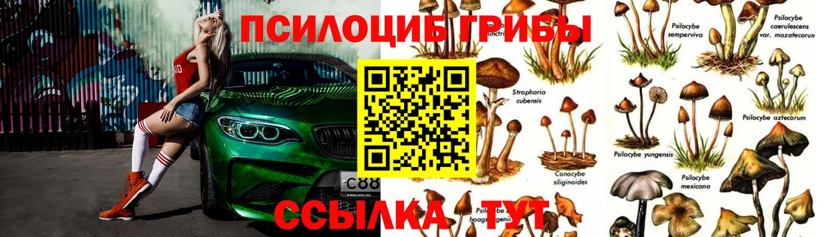 Галлюциногенные грибы Magic Shrooms Санкт-Петербург